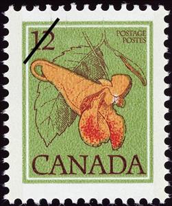 Stamp, Jewelweed, Impatiens capensis, Canada,  