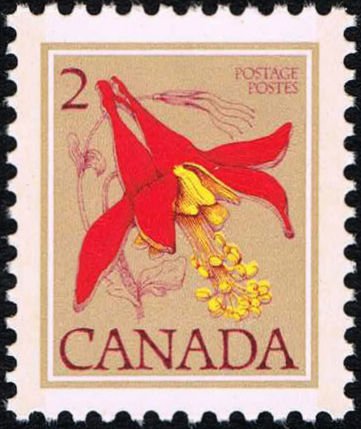 Red Columbine, Aquilegia formosa
