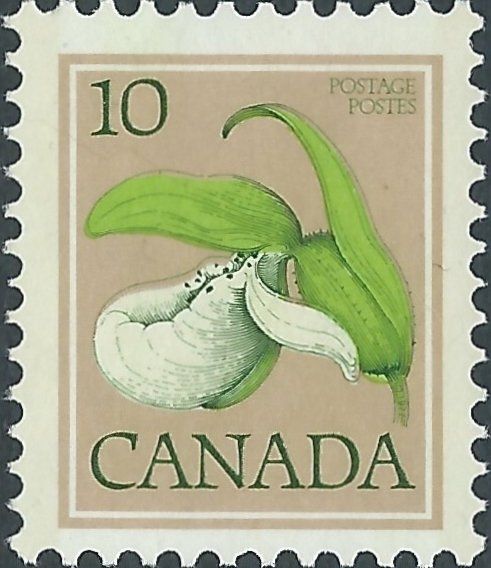 Franklin's Lady Slipper Orchid, Cypripedium passerinum
