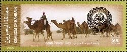 Camel caravan