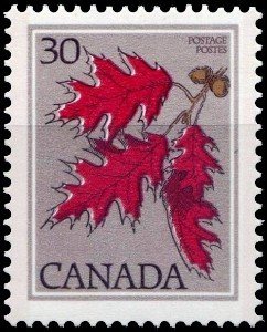 Stamp, Red Oak, Quercus rubra, Canada,  , Trees, Plants (Flora), Leaves