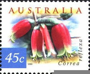 Stamp, Native Fuschia - Correa reflexa, Australia,  , Flowers