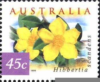 Guinea Flower - Hibbertia scandens