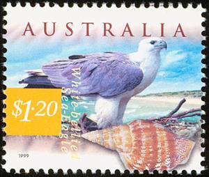 Stamp, White-bellied Sea Eagle (Haliaeetus leucogaster), Australia,  , Birds