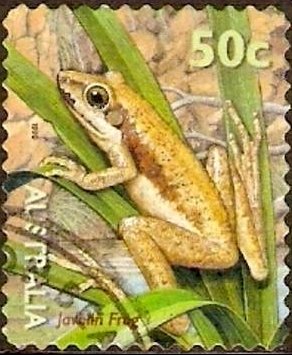 Stamp, Javelin Frog (Litoria microbelos), Australia,  , Frogs