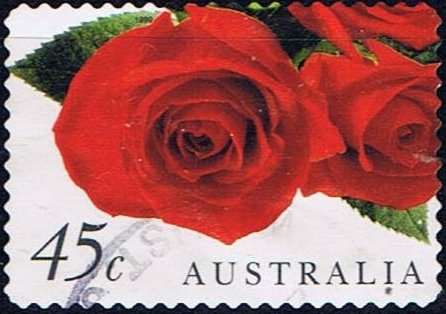 Red Roses