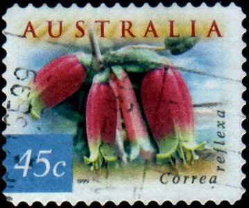 Stamp, Native Fuschia - Correa reflexa, Australia,  , Flowers, Plants (Flora)