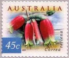 Stamp, Native Fuschia - Correa reflexa, Australia,  , Flowers