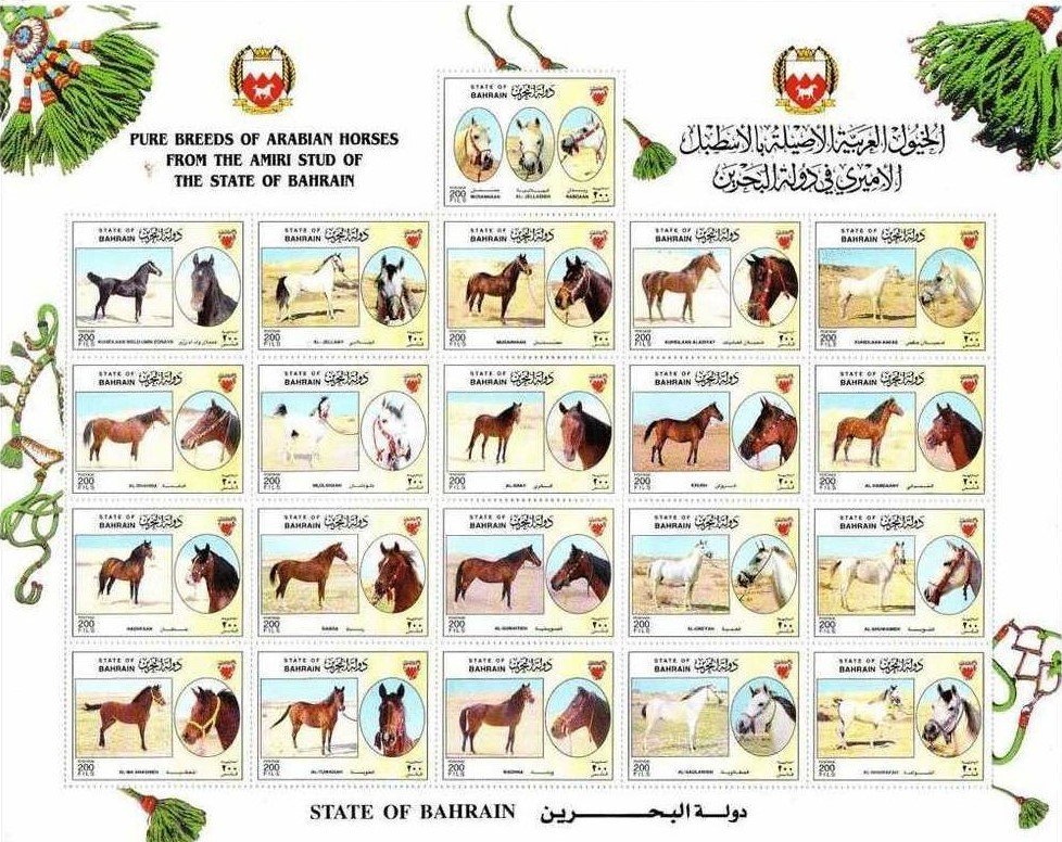 Horses and horse heads