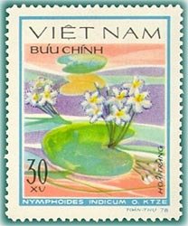 Nymphoides indicum