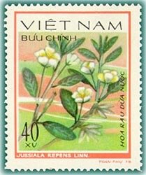Jussiaea repens