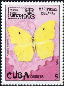 Stamp, Yellow-angled Sulphur (Anteos maerula), Cuba,  , Butterflies