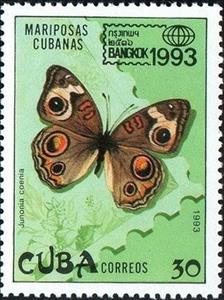 Stamp, Mangrove Buckeye (Junonia evarete coenia), Cuba,  , Butterflies