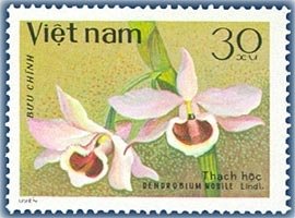Stamp, Dendrobium nobile, Vietnam,  , Orchids