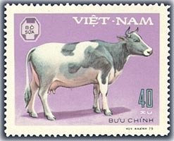 Stamp, Cow (Bos primigenius taurus), Vietnam,  , Mammals, Cattle, Animals (Fauna)
