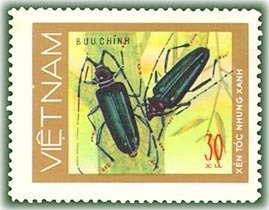 Stamp, Musk Beetle (Aromia moschata), Vietnam,  , Insects