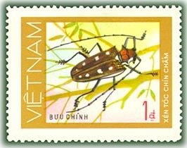 Rubber-root Borer (Batocera rubus)