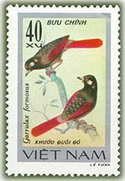 Stamp, Red-winged Laughingthrush (Garrulax formosus), Vietnam,  , Birds, Animals (Fauna)