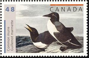 Stamp, Common Murre (Uria aalge), Canada,  , Birds, Animals (Fauna)