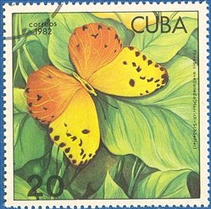Stamp, Red-splashed Sulphur (Phoebis avellaneda), Cuba,  , Insects, Butterflies, Animals (Fauna), Plants (Flora)