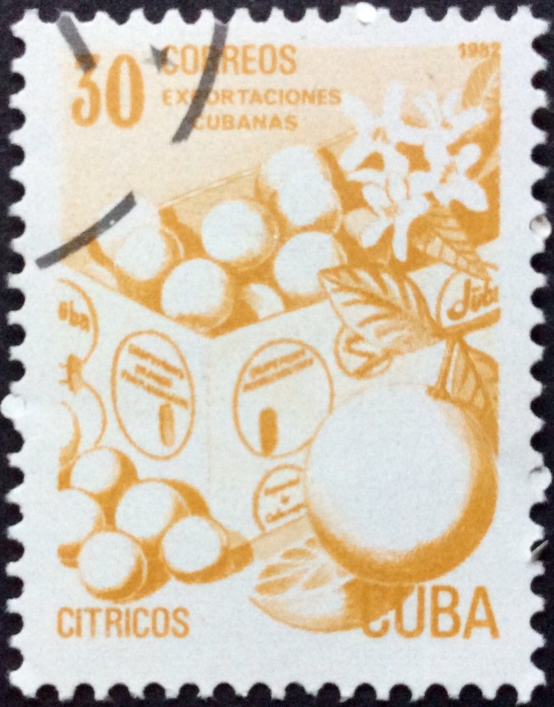 Fresh fruit