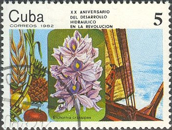 Stamp, Water hyacinth (Eichornia crassipes), Cuba,  , Plants (Flora)