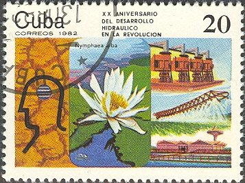 Stamp, Nymphaea alba, Cuba,  , Flowers, Plants (Flora)