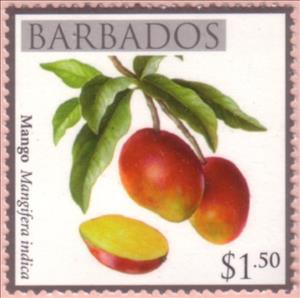Stamp, Mango, Barbados,  , Fruits