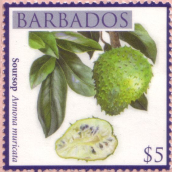 Soursop