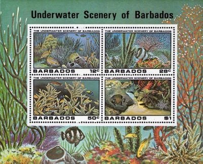 Underwater Scene