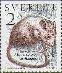 Common Dormouse (Muscardinus avellanarius) 