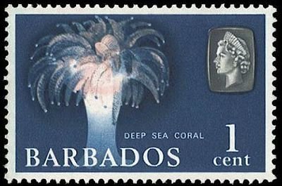 Stamp, Deep Sea Coral, Barbados,  , Animals (Fauna)