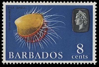 Stamp, File Shell (Lima sp.), Barbados,  , Animals (Fauna)
