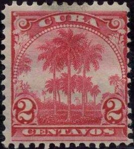 Coconut palms