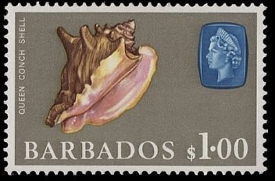 Stamp, Queen Conch (Lobatus gigas), Barbados,  , Shells, Animals (Fauna)