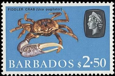 Stamp, Fiddler Crab (Uca vocans), Barbados,  , Animals (Fauna)