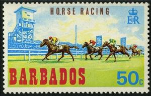 Stamp, The Finish, Barbados,  , Horses