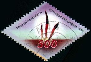 Stamp, Mushrooms- Mutinus bambusinus, Indonesia,  , Mushrooms