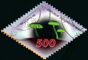 Stamp, Mushrooms- Mycena sp, Indonesia,  , Mushrooms