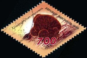 Stamp, Mushrooms- Gloeophyllum imponens, Indonesia,  , Mushrooms