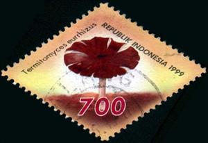 Stamp, Mushrooms- Termitomyces eurrhizus, Indonesia,  , Mushrooms