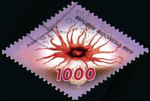 Stamp, Mushrooms- Aseroe rubra, Indonesia,  , Mushrooms