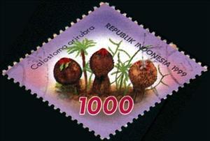 Stamp, Mushrooms- Calostoma arirubra, Indonesia,  , Mushrooms