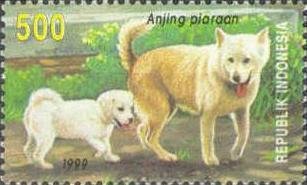 Domestic Dog (Canis lupus familiaris)