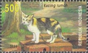 Stamp, Domestic Cat (Felis silvestris catus), Indonesia,  , Cats, Animals (Fauna)