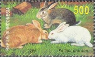Stamp, Domestic Rabbit (Oryctolagus cuniculus domesticus), Indonesia,  , Rabbits, Animals (Fauna)