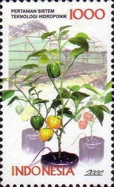 Stamp, Year of Technology, Indonesia,  