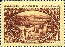 Stamp, Citrus harvesting, Soviet Union, USSR,  , Economy, Agriculture, Fruits, Proverbs and Quotations, Women, Plants (Flora)