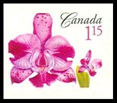 Stamp, Cattleya Memoria Evelyn Light (syn.Laeliocattleya Memoria Ev, Canada,  , Flowers, Orchids, Plants (Flora)