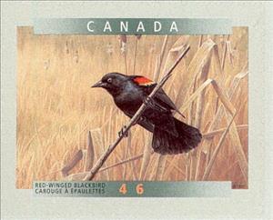 Stamp, Red-winged Blackbird (Agelaius phoeniceus), Canada,  , Birds, Animals (Fauna)